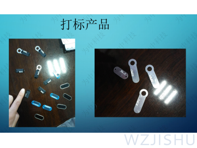 流水線CCD定位打標(biāo)自動剔除